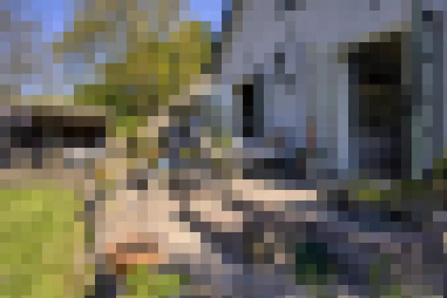 Koninginnelaan 5 Heelsum thumbnail 37