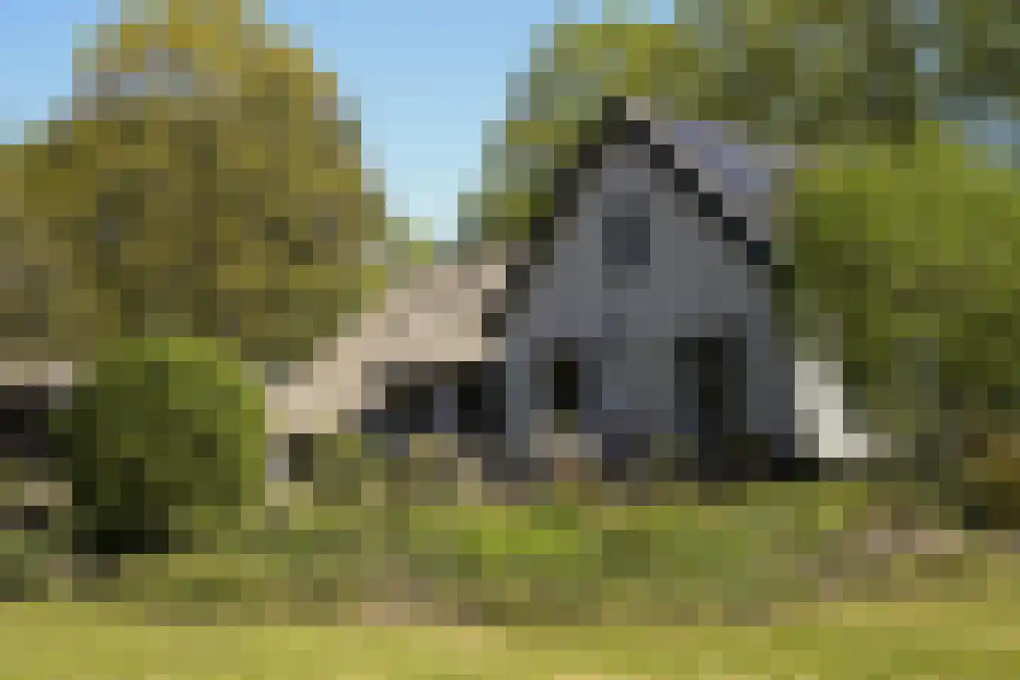 Koninginnelaan 5 Heelsum thumbnail 39