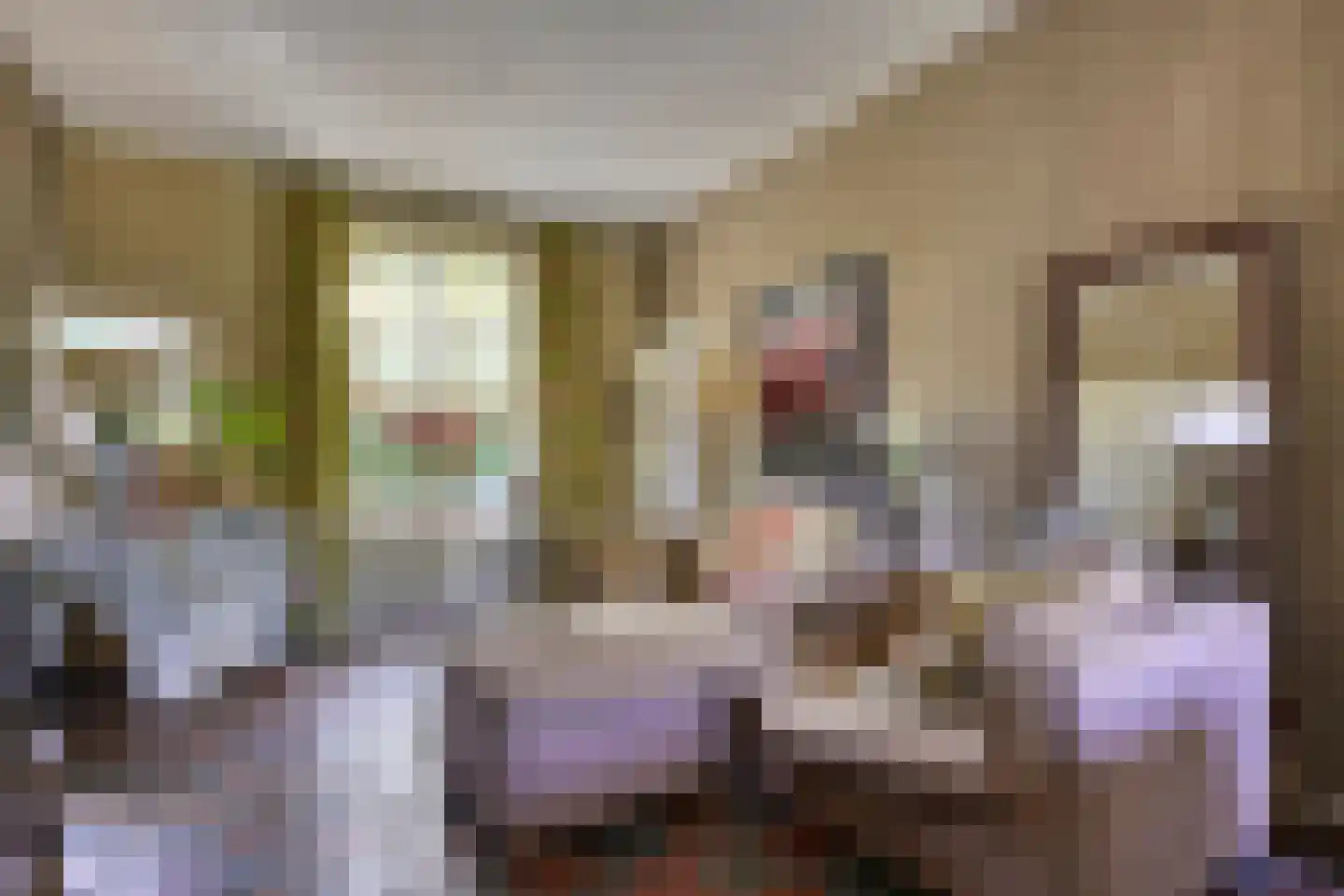 Koninginnelaan 5 Heelsum thumbnail 4