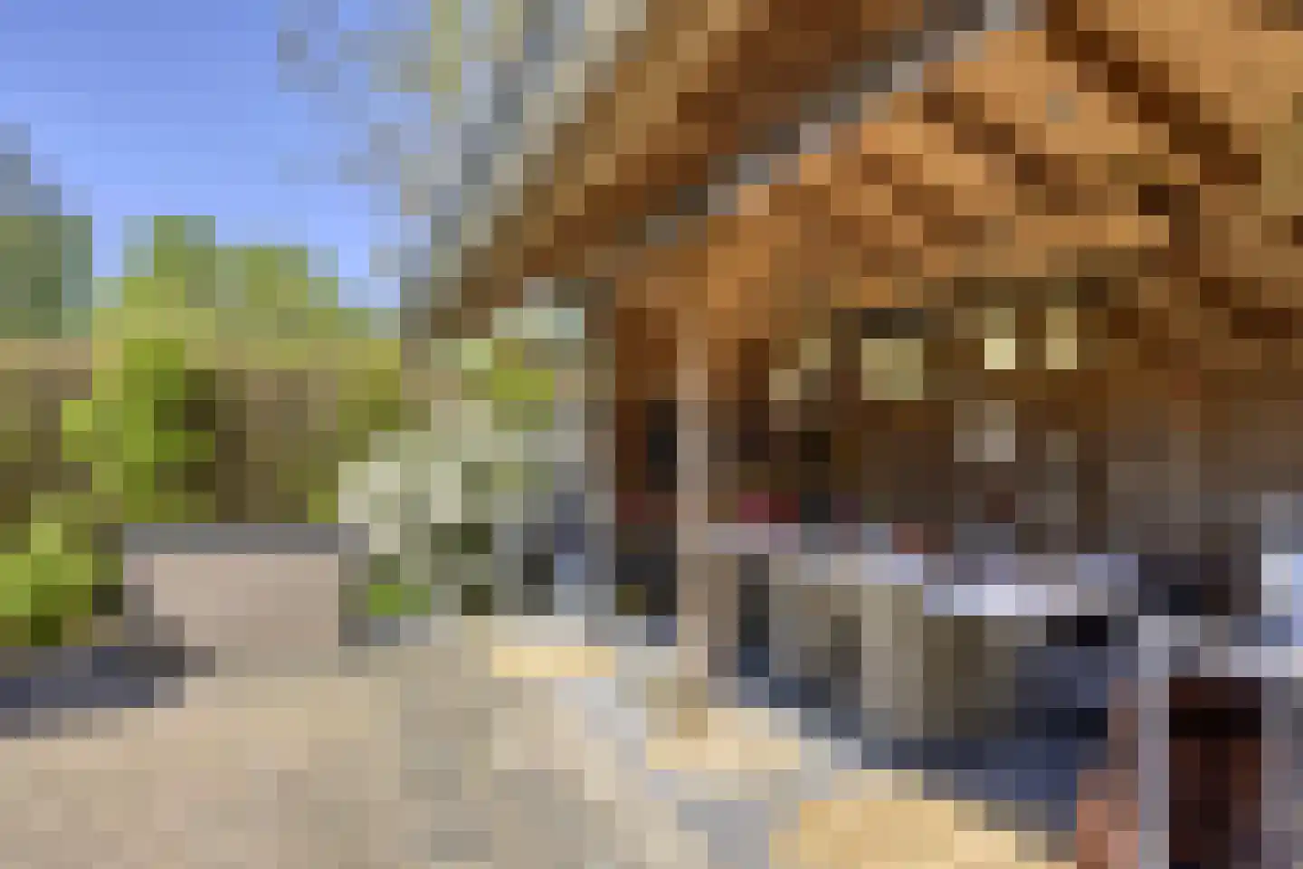 Koninginnelaan 5 Heelsum thumbnail 41