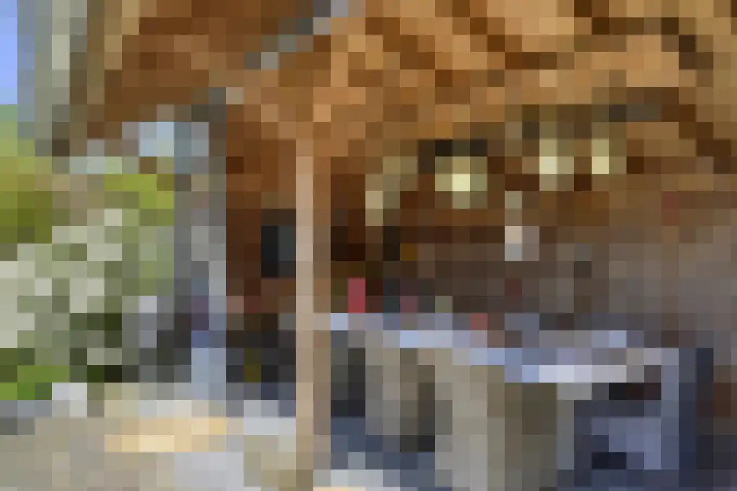 Koninginnelaan 5 Heelsum thumbnail 42