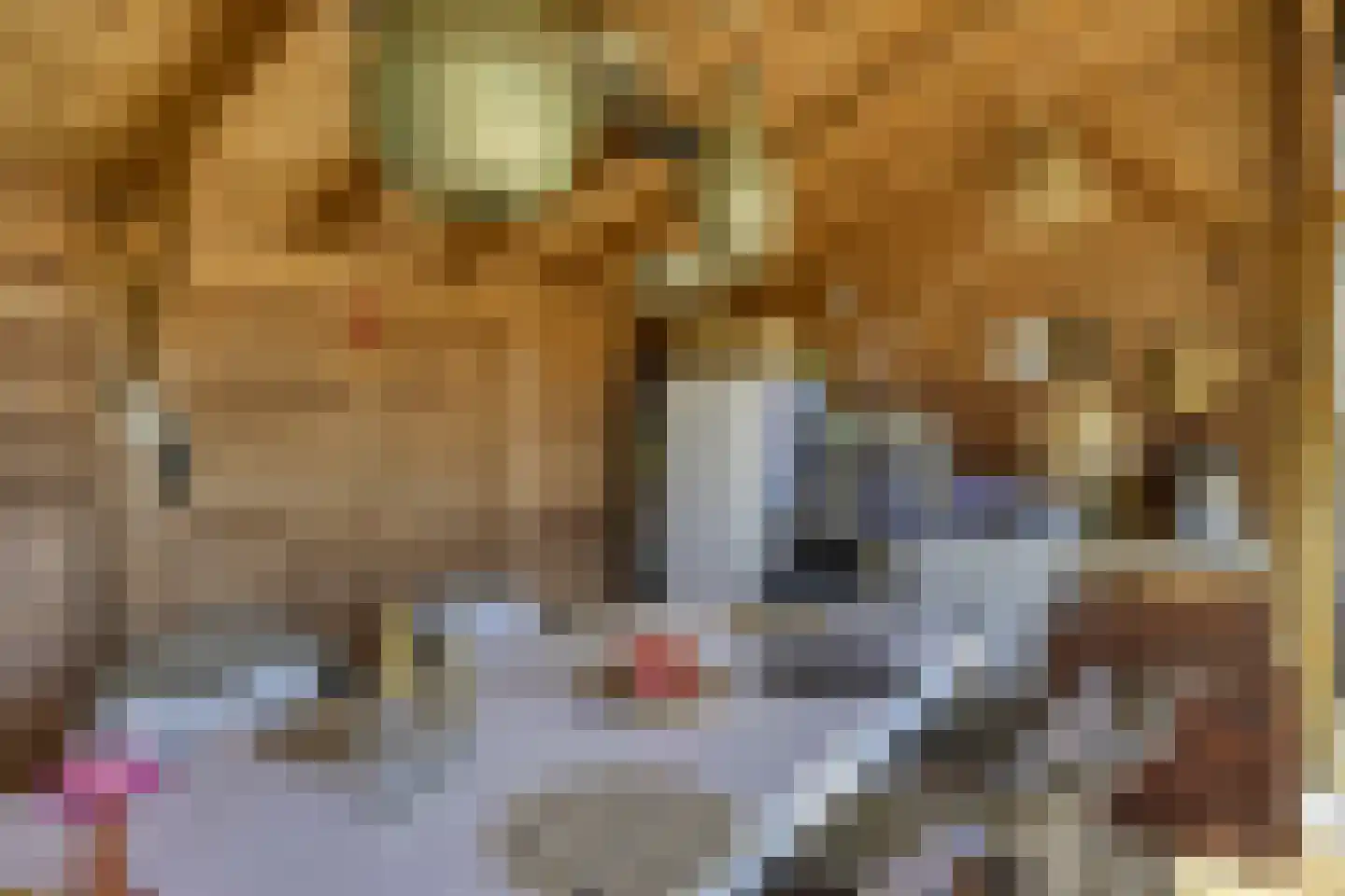 Koninginnelaan 5 Heelsum thumbnail 43