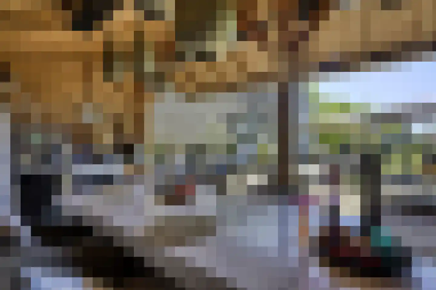 Koninginnelaan 5 Heelsum thumbnail 44