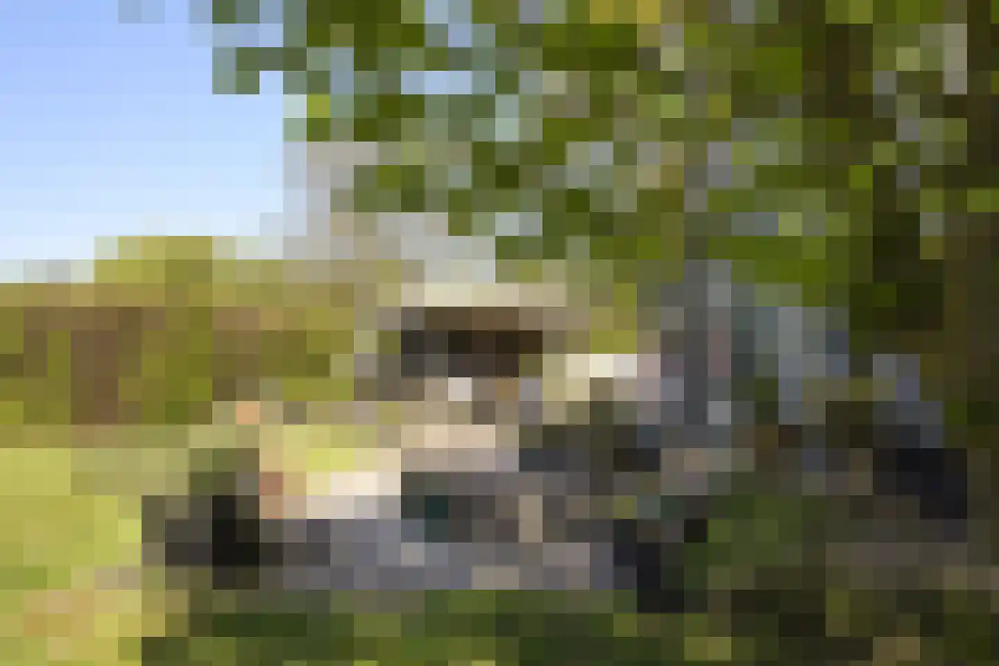 Koninginnelaan 5 Heelsum thumbnail 45