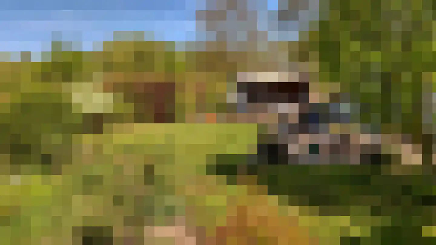 Koninginnelaan 5 Heelsum thumbnail 46