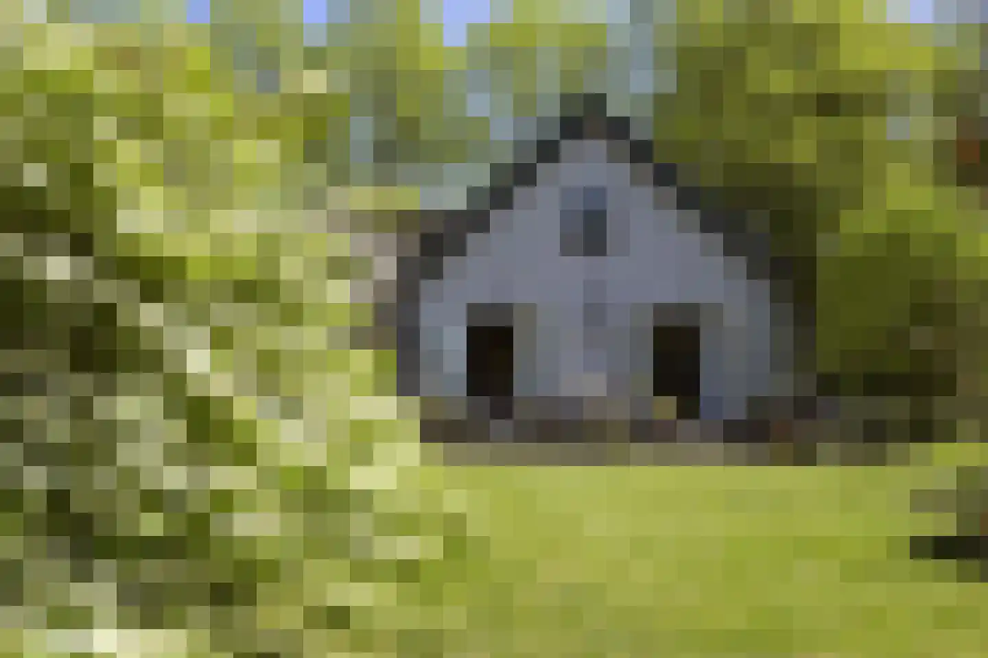Koninginnelaan 5 Heelsum thumbnail 47