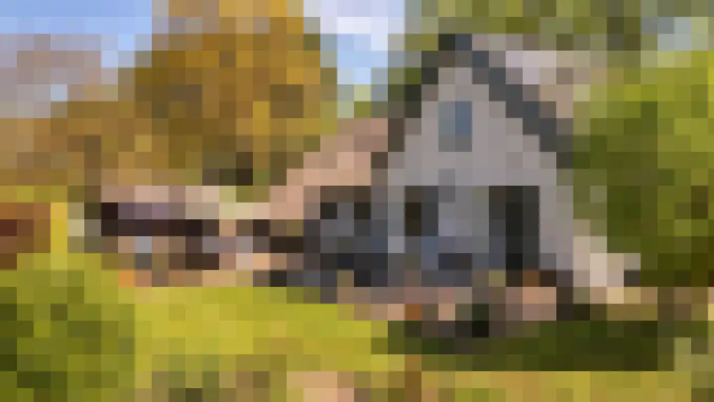 Koninginnelaan 5 Heelsum thumbnail 48