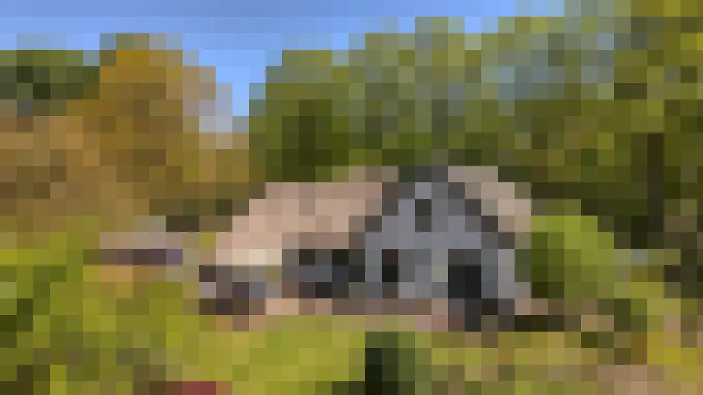 Koninginnelaan 5 Heelsum thumbnail 49