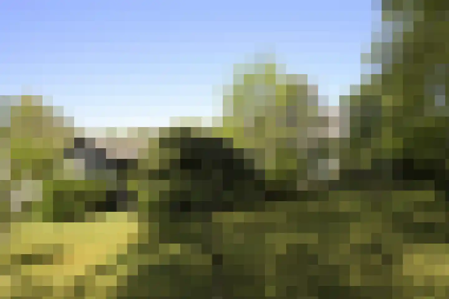 Koninginnelaan 5 Heelsum thumbnail 53