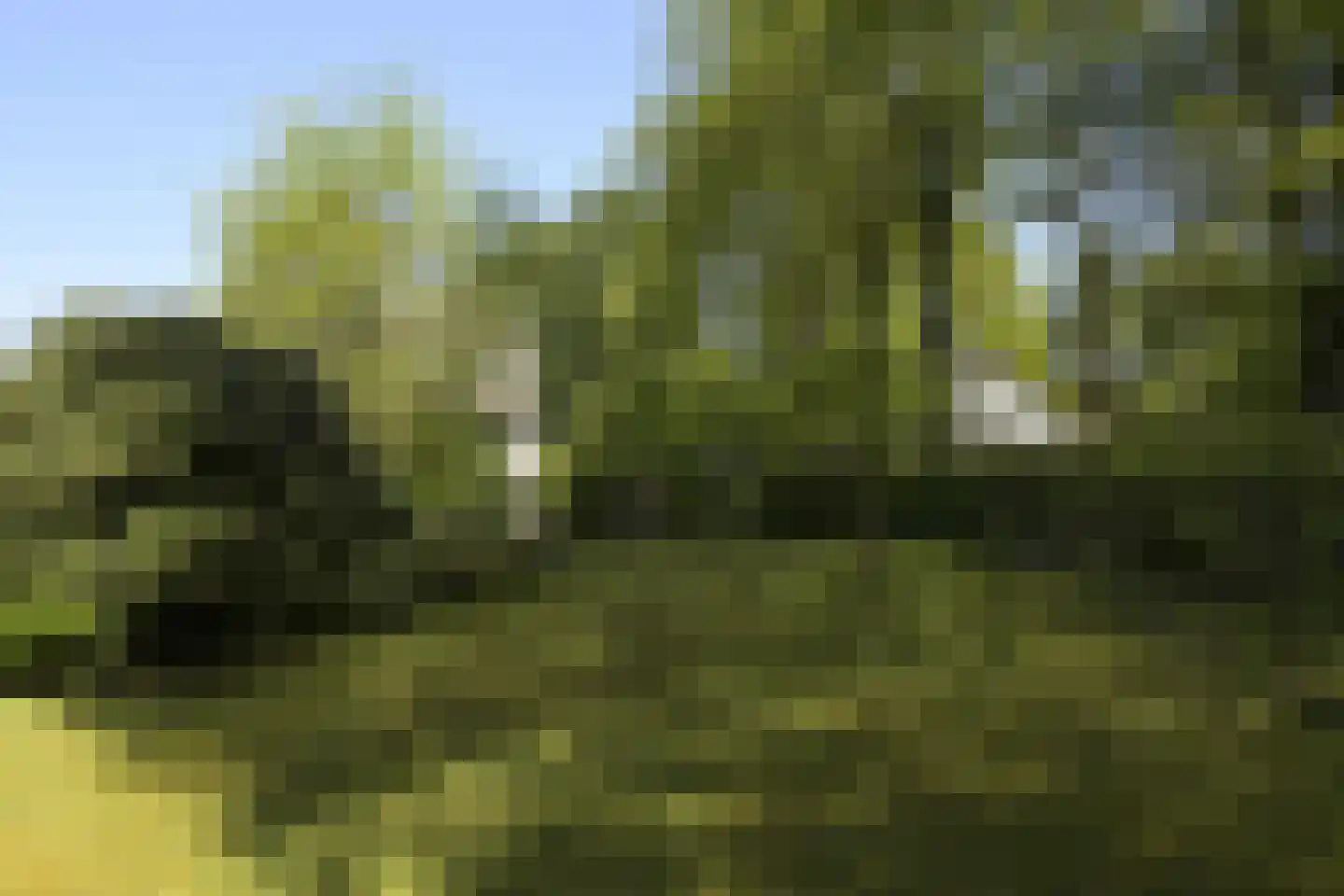 Koninginnelaan 5 Heelsum thumbnail 54