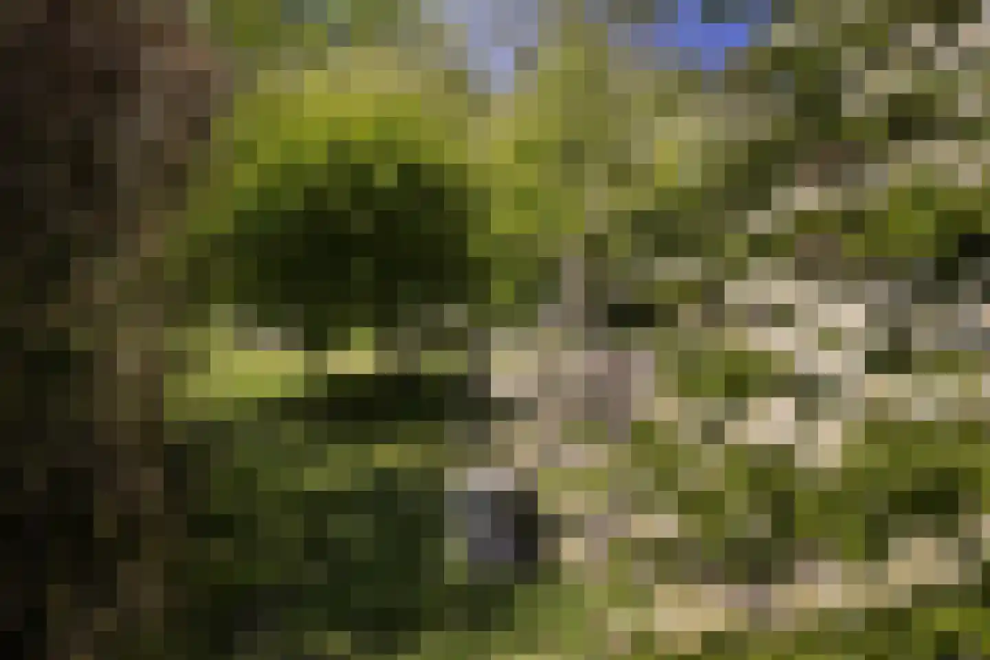 Koninginnelaan 5 Heelsum thumbnail 55