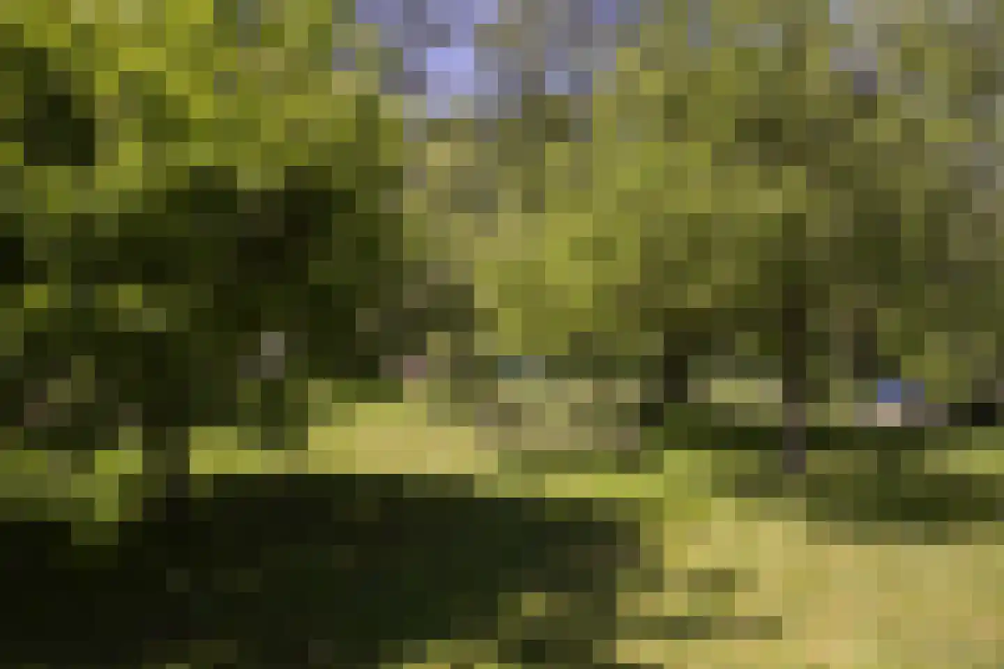 Koninginnelaan 5 Heelsum thumbnail 56