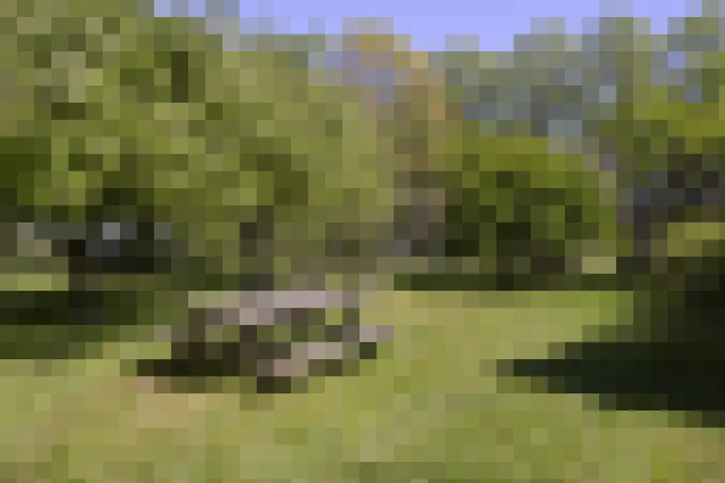 Koninginnelaan 5 Heelsum thumbnail 57