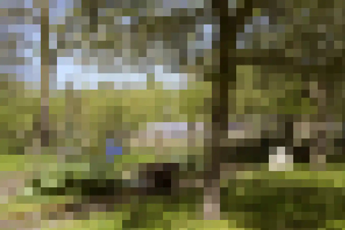 Koninginnelaan 5 Heelsum thumbnail 58