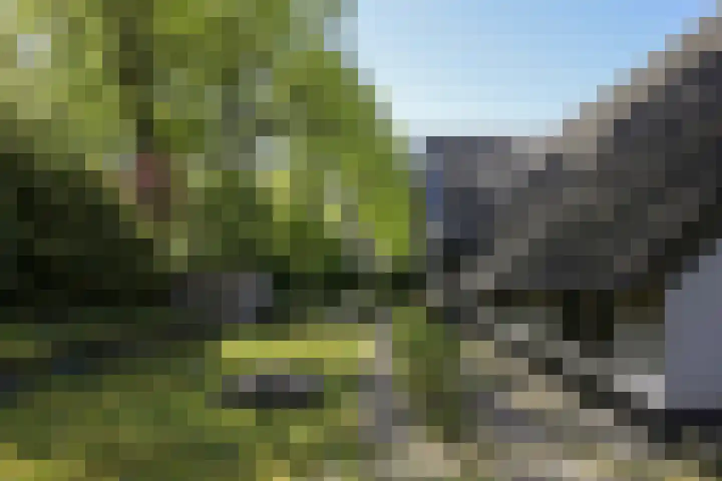 Koninginnelaan 5 Heelsum thumbnail 60