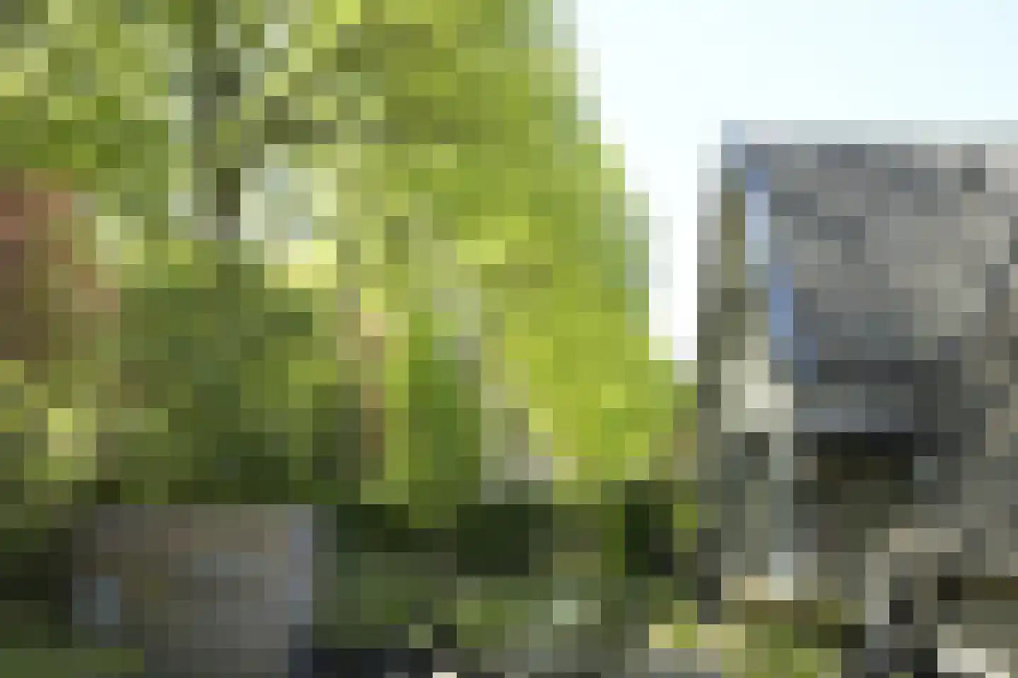 Koninginnelaan 5 Heelsum thumbnail 61