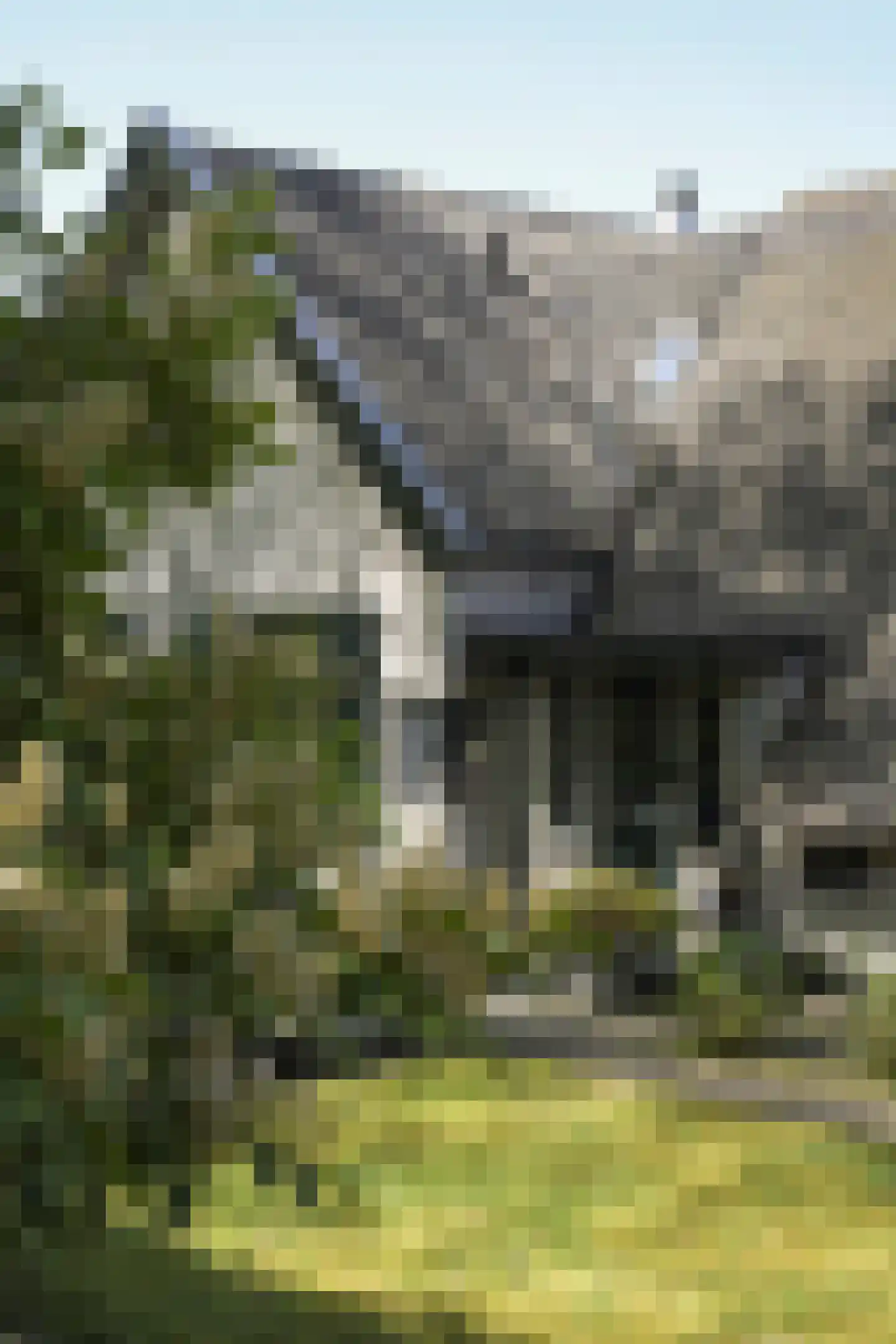 Koninginnelaan 5 Heelsum thumbnail 62