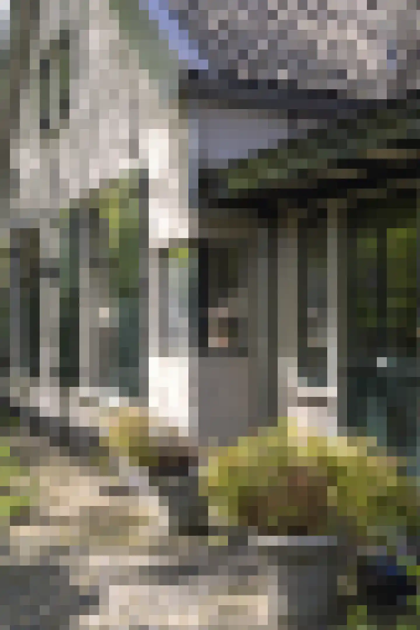 Koninginnelaan 5 Heelsum thumbnail 63