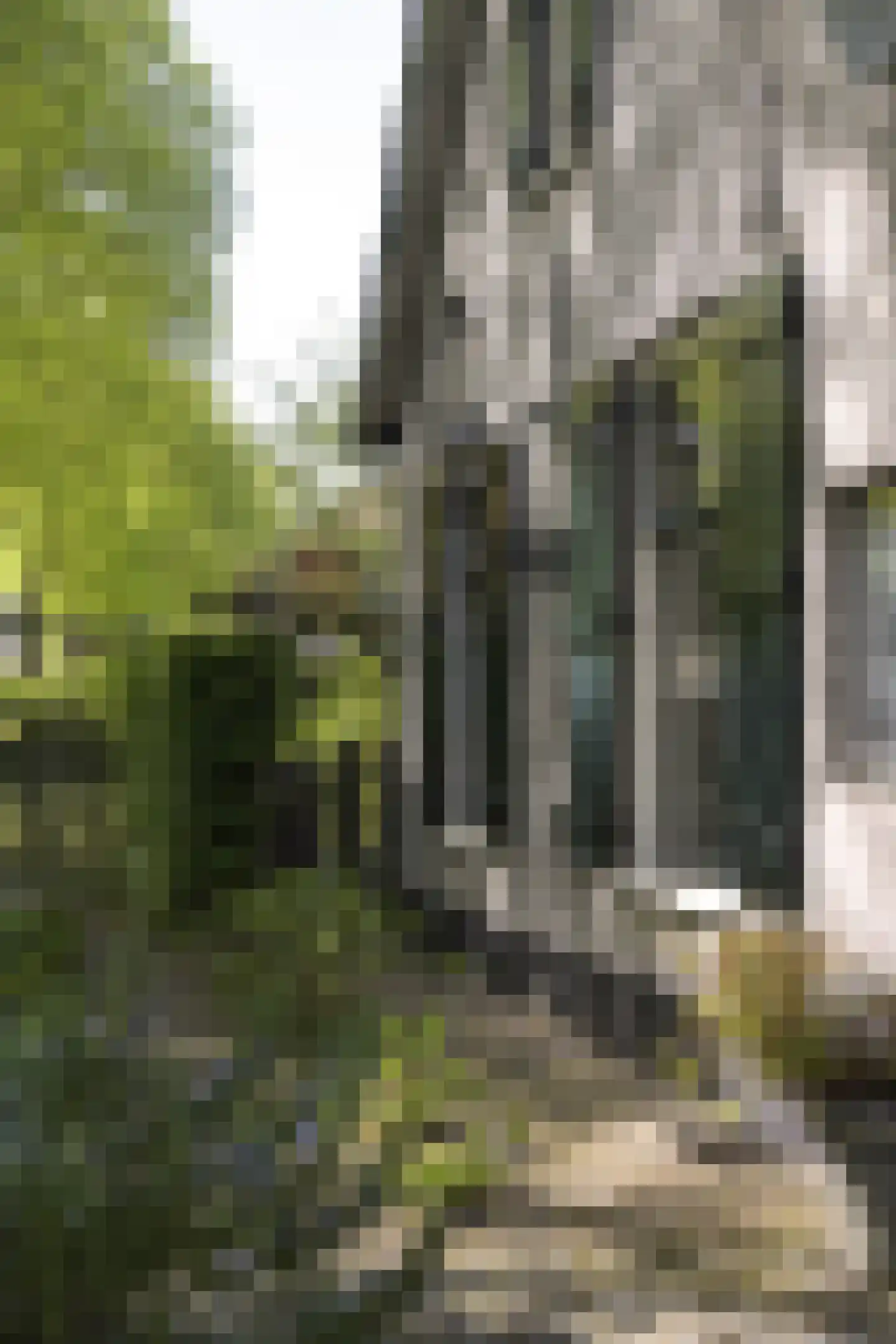 Koninginnelaan 5 Heelsum thumbnail 65