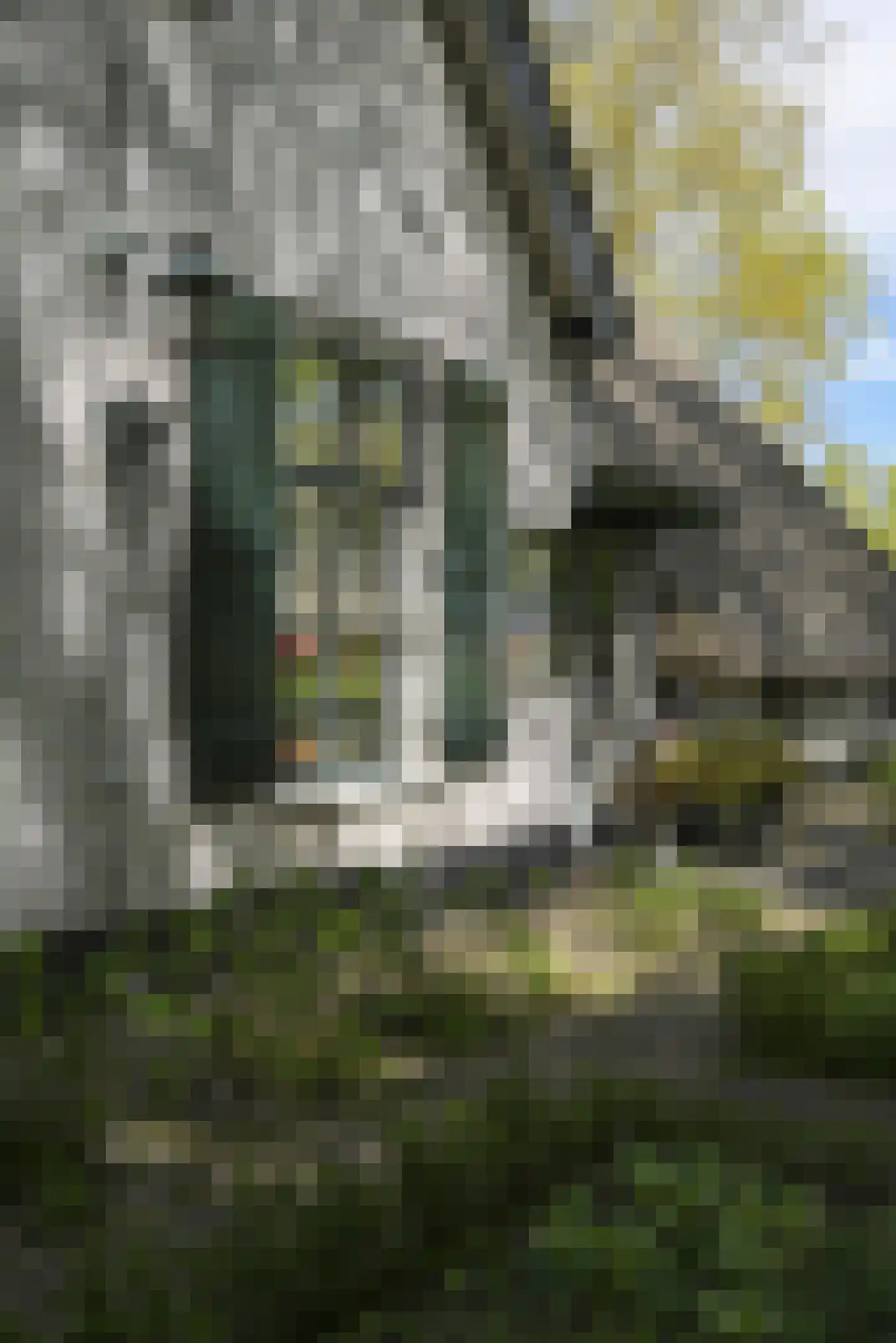 Koninginnelaan 5 Heelsum thumbnail 67