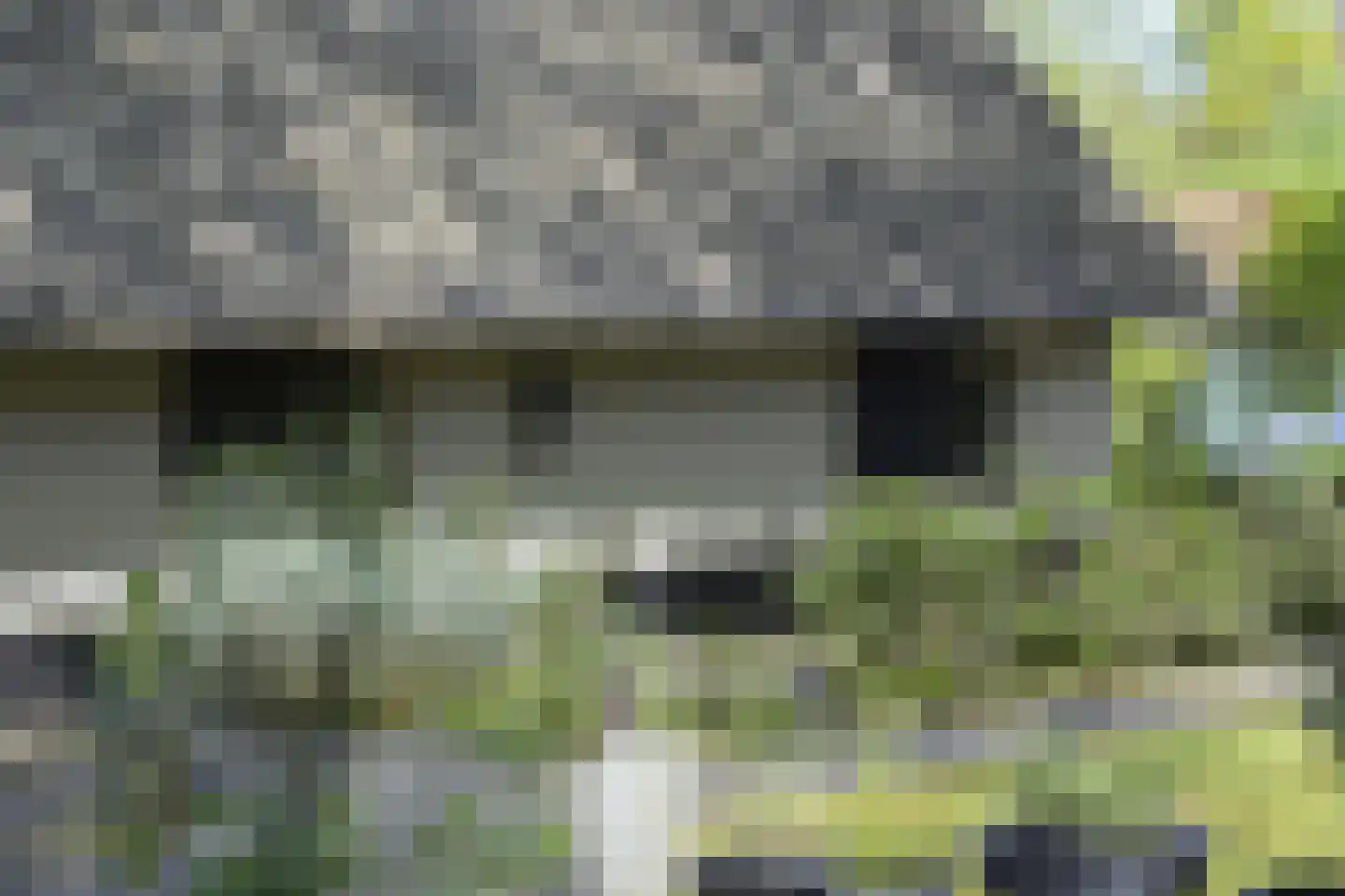 Koninginnelaan 5 Heelsum thumbnail 68