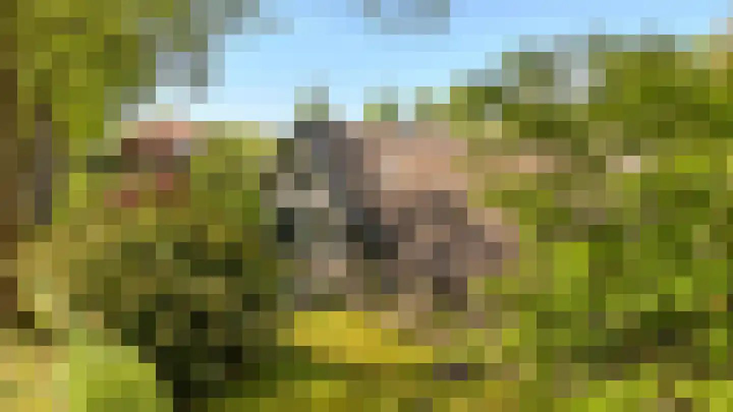 Koninginnelaan 5 Heelsum thumbnail 69