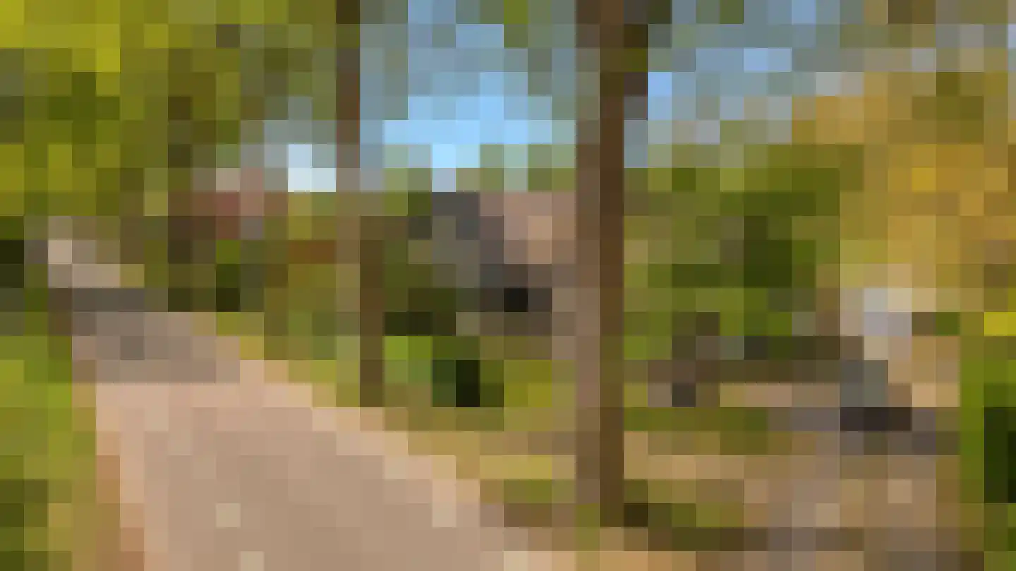 Koninginnelaan 5 Heelsum thumbnail 70