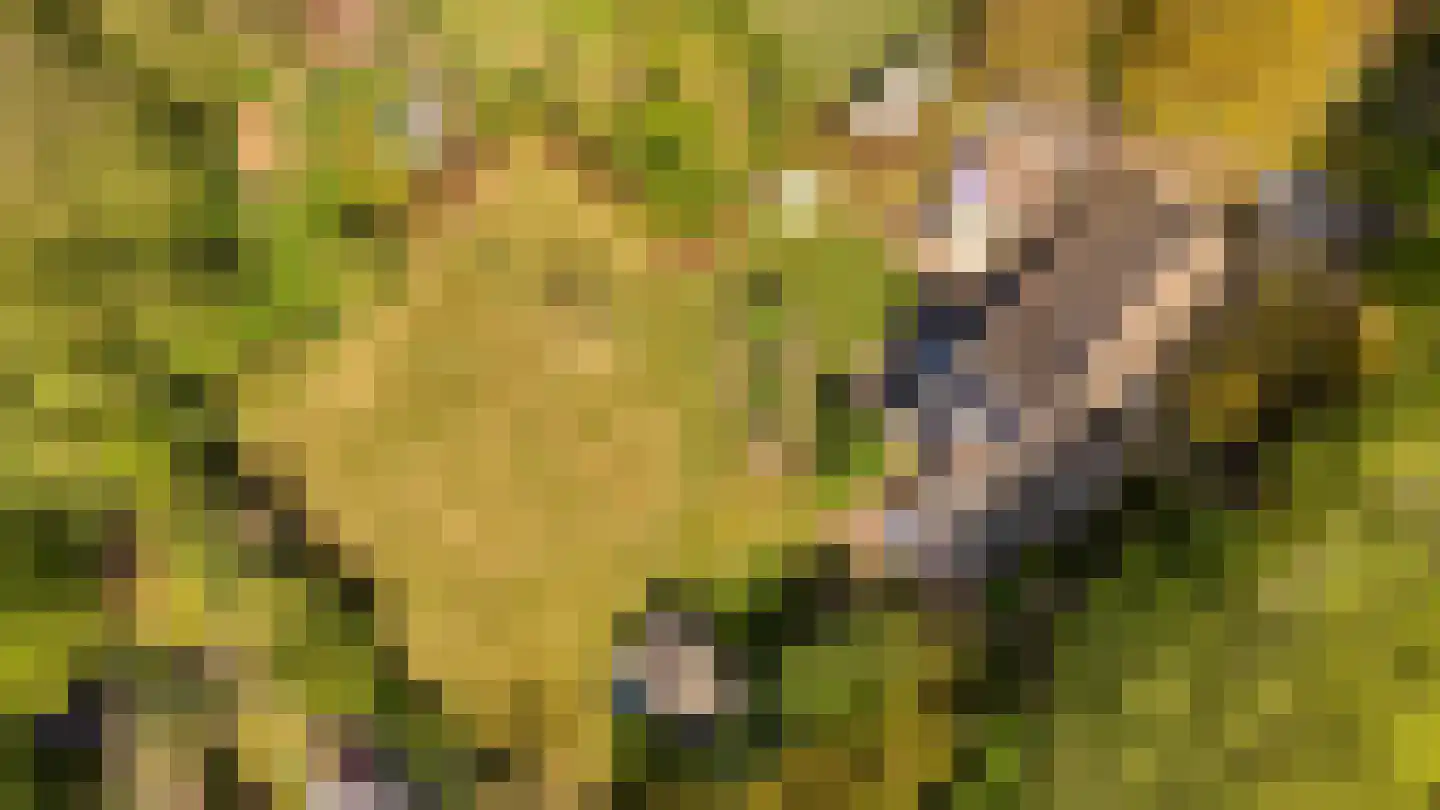 Koninginnelaan 5 Heelsum thumbnail 71