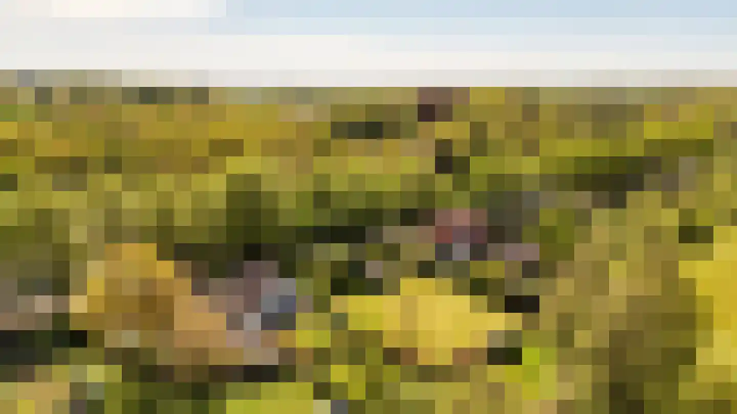 Koninginnelaan 5 Heelsum thumbnail 72