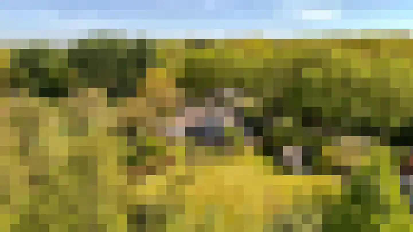 Koninginnelaan 5 Heelsum thumbnail 73