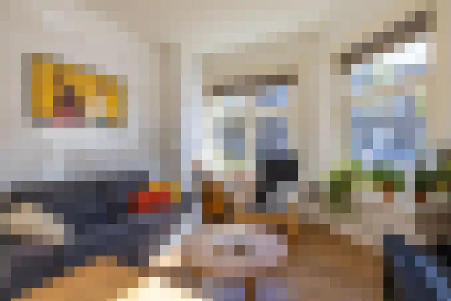 Koninginnelaan 50 Groningen thumbnail 12