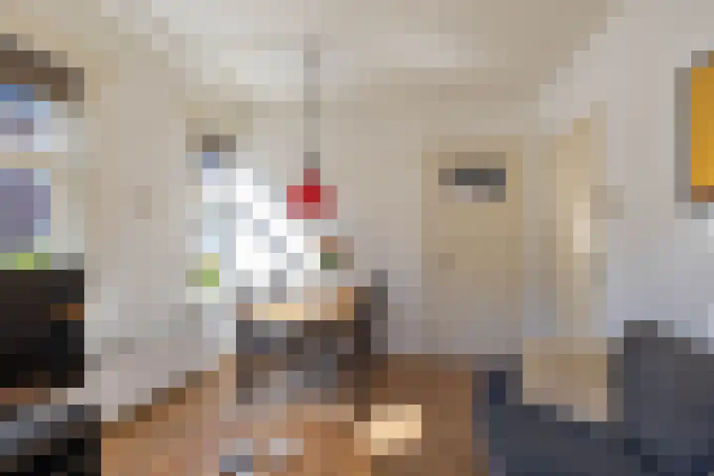 Koninginnelaan 50 Groningen thumbnail 14