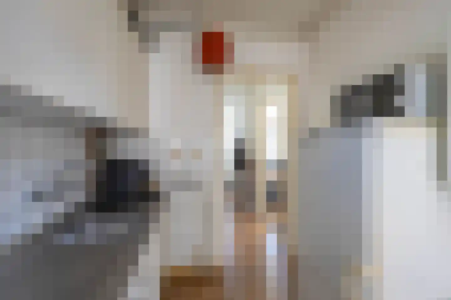 Koninginnelaan 50 Groningen thumbnail 26