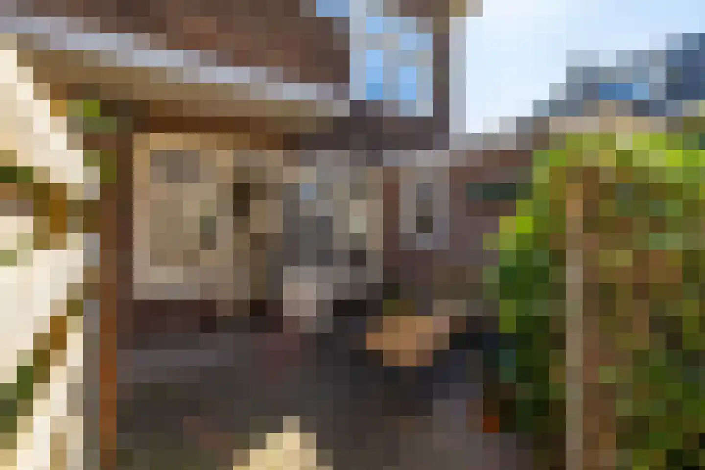 Koninginnelaan 50 Groningen thumbnail 27