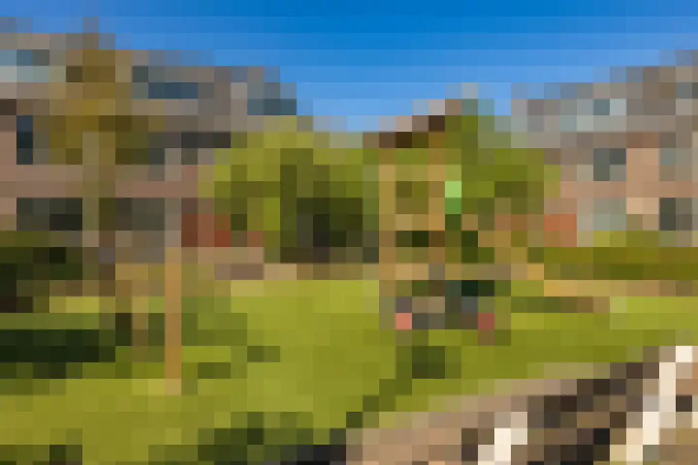 Koninginnelaan 50 Groningen thumbnail 31