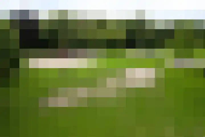 Koninginnelaan 51 b Groningen thumbnail 32