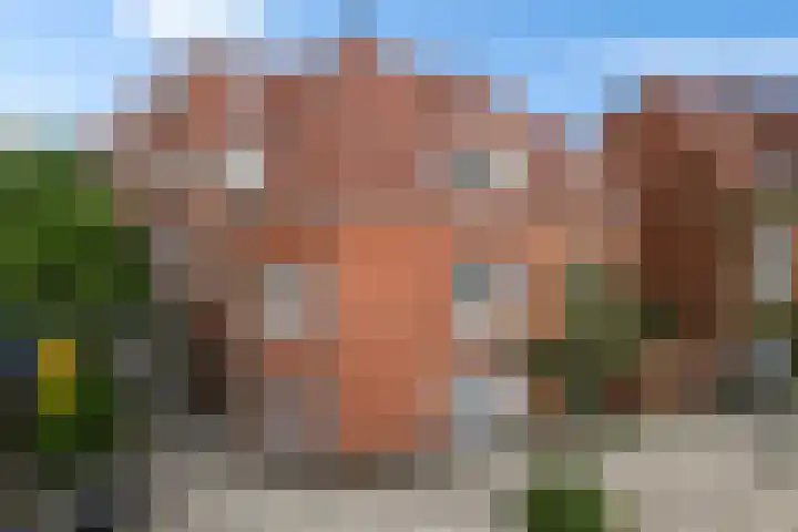 Koninginnelaan 51 b Groningen thumbnail 33