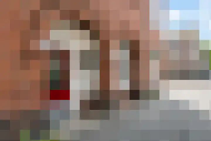 Koninginnelaan 51 b Groningen thumbnail 9