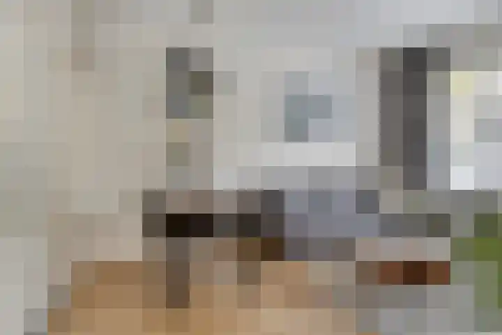Koninginnelaan 52 Groningen thumbnail 14