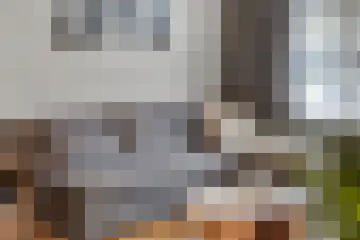 Koninginnelaan 52 Groningen thumbnail 15