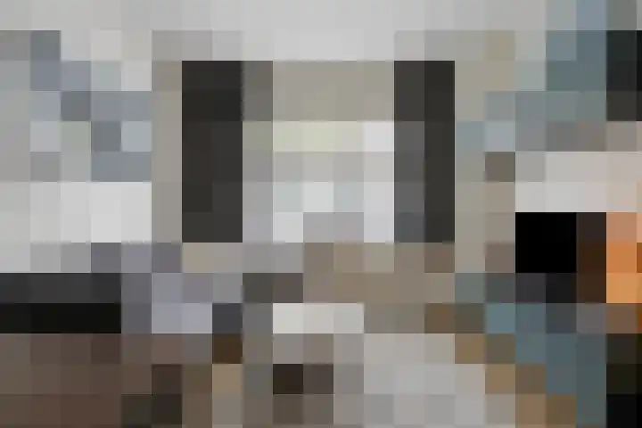 Koninginnelaan 52 Groningen thumbnail 16