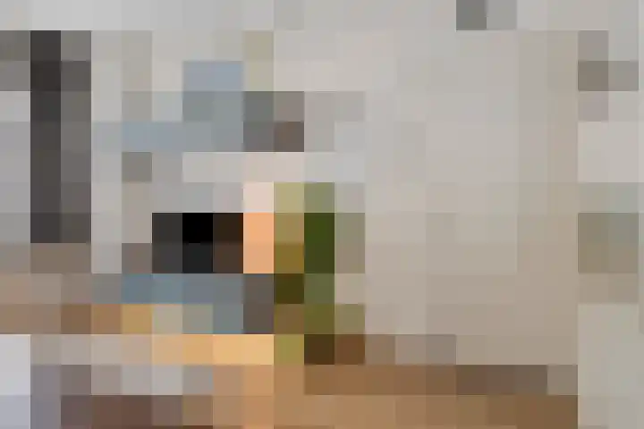 Koninginnelaan 52 Groningen thumbnail 17