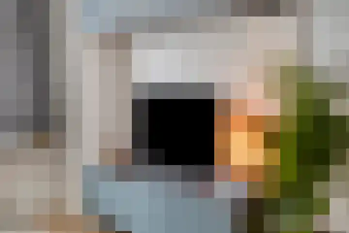 Koninginnelaan 52 Groningen thumbnail 18