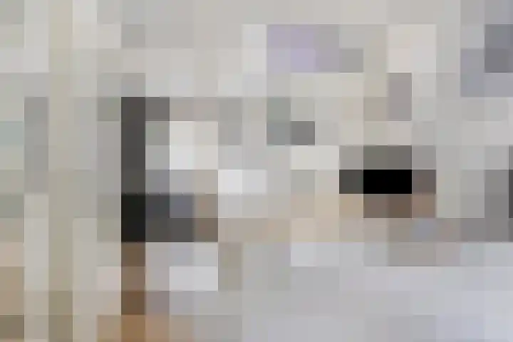 Koninginnelaan 52 Groningen thumbnail 21