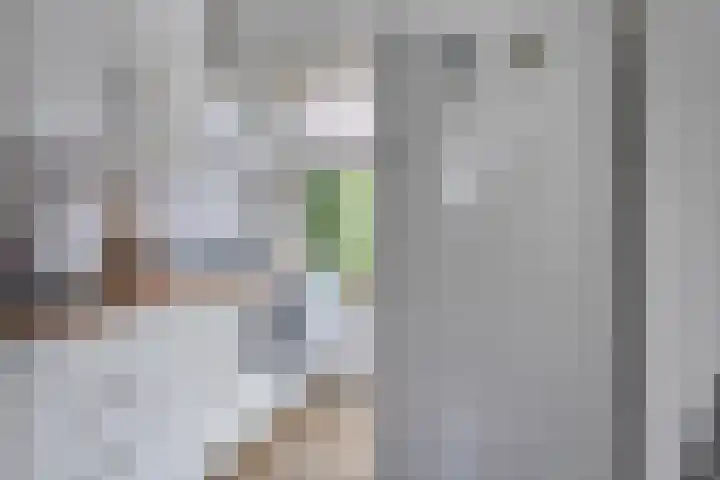 Koninginnelaan 52 Groningen thumbnail 24