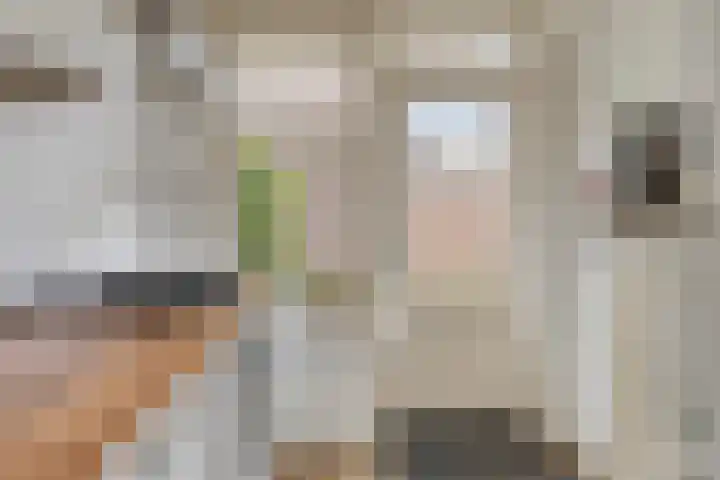 Koninginnelaan 52 Groningen thumbnail 26