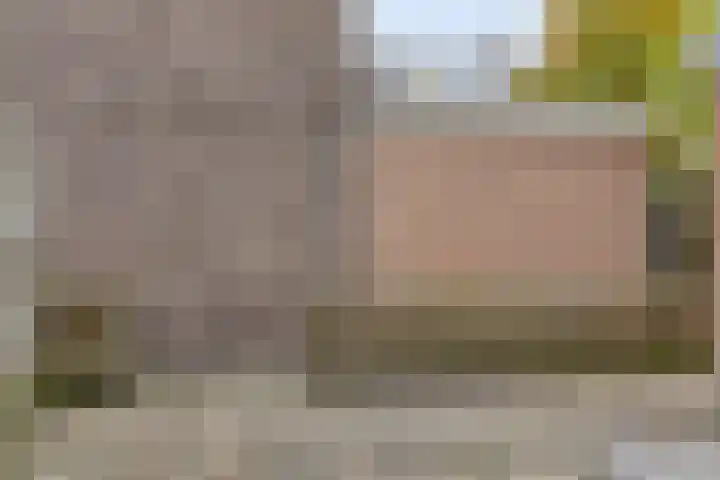 Koninginnelaan 52 Groningen thumbnail 27