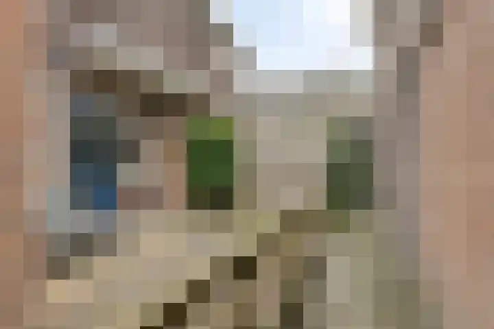 Koninginnelaan 52 Groningen thumbnail 29