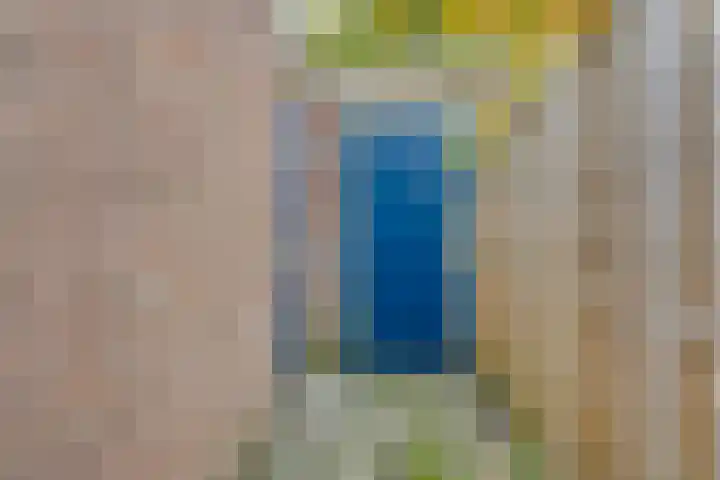 Koninginnelaan 52 Groningen thumbnail 31