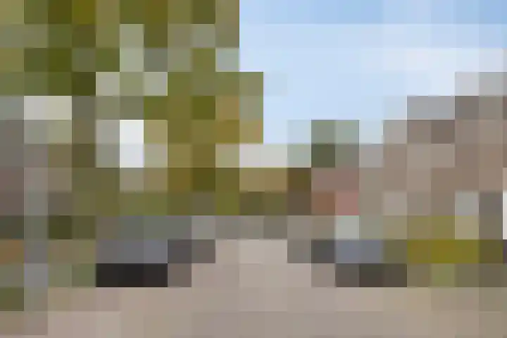 Koninginnelaan 52 Groningen thumbnail 34